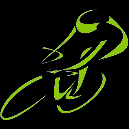 RC Birkfeld Logo